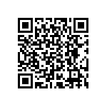 WSLP0805R0250FEB QRCode