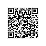 XBDAWT-02-0000-000000E53 QRCode