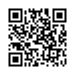 XF-00800-2024 QRCode