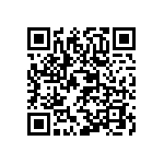 XMLBWT-00-0000-000PT4050 QRCode