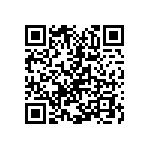 Y005813K5000B0L QRCode