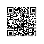 Y006011K1100T0L QRCode