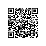 Y011125K9500T9L QRCode