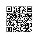 Y078532K6500T9L QRCode