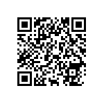 Y078650R0000V9L QRCode