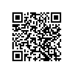 Y09300R20000B0L QRCode