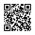 Y100132CFWCNQ QRCode