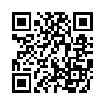 Y100132V203NQ QRCode