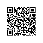 Y11211K20000T13R QRCode