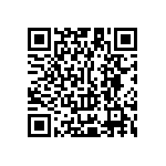 Y11211K21000T0L QRCode