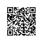 Y11691K20000B139R QRCode