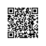 Y11691K75000T9L QRCode