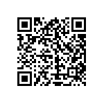 Y11698K08900T9L QRCode