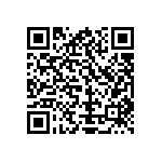 Y11699K09000T9R QRCode