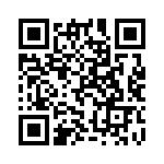 Y1365V0207QT0R QRCode