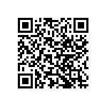 Y14531K80000T0L QRCode