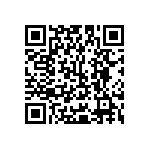 Y16241K10000T9W QRCode