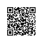 Y16241K20000T9R QRCode