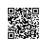 Y16241K24600T9R QRCode