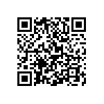 Y16241K80000Q0W QRCode