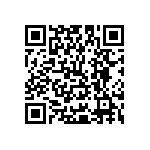 Y16241K80000T9R QRCode