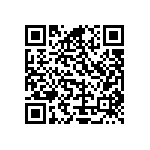 Y16244K16700T9R QRCode