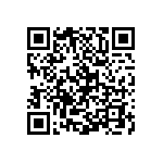 Y16245K10000T9W QRCode