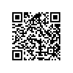 Y16245K92800T9R QRCode