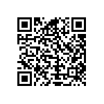 Y16246K04000T9R QRCode