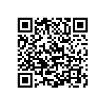 Y16246K65000T9R QRCode