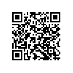 Y16251K00650T9R QRCode