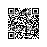 Y16251K06800T9W QRCode