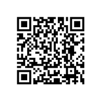 Y16251K24000T0W QRCode