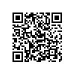 Y16251K27000Q0R QRCode