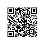 Y16251K33000T0R QRCode