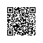 Y16251K87000T9R QRCode