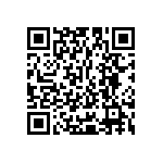 Y16253K65000T9W QRCode