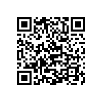 Y16254K65500T9R QRCode