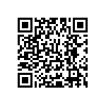 Y16256K00000T9R QRCode