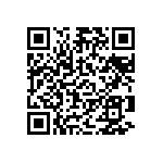 Y16264K13423T9W QRCode