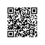 Y162742K2400T0W QRCode