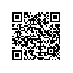 Y1628100K000B9R QRCode