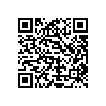 Y162833K0000D9W QRCode