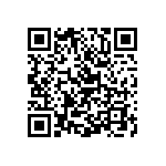 Y16291K20000T9W QRCode