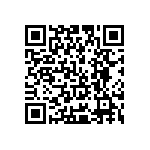 Y16901R50000B9L QRCode