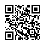 Y1691V0281VV0L QRCode