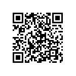 Y17451K12000Q0R QRCode