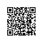 Y17451K18000B2R QRCode