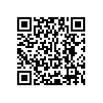 Y17451K20000T9L QRCode