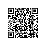 Y17451K25000T0R QRCode